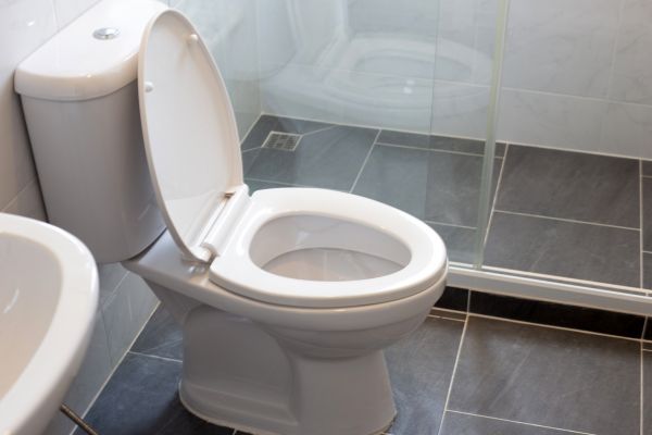 Toilet Replacement in Duluth