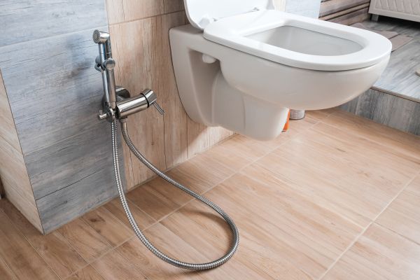 Bidet Service in Duluth
