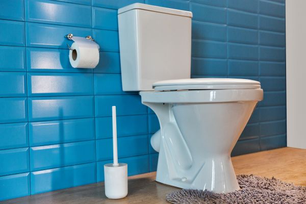 Toilet Tank Repair in Duluth